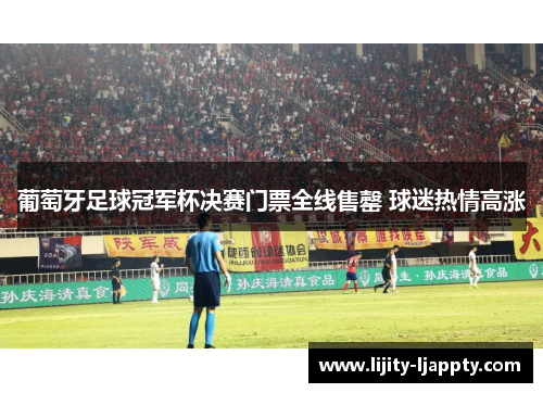 葡萄牙足球冠军杯决赛门票全线售罄 球迷热情高涨